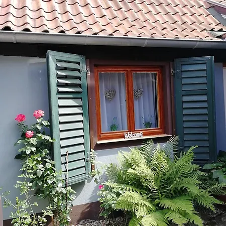 Apartment Rosaly *